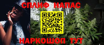 mdma Гатчина